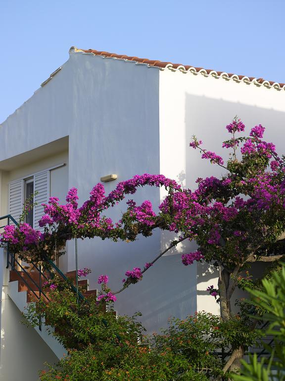 Mousses Apartments & Studios Kíssamos Kamer foto